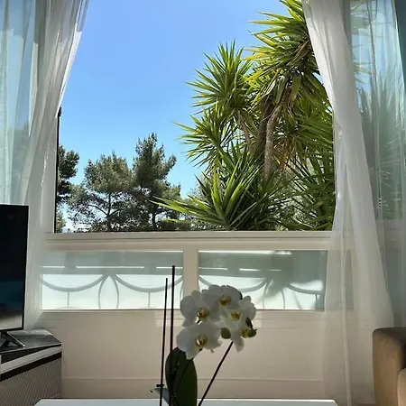 Neuf, 2 Chambres, Climatisé, Route Des Sanguinaires Appartement