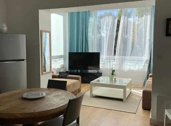 Neuf, 2 Chambres, Climatisé, Route Des Sanguinaires Appartement