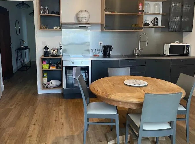 Neuf, 2 Chambres, Climatisé, Route Des Sanguinaires Appartement