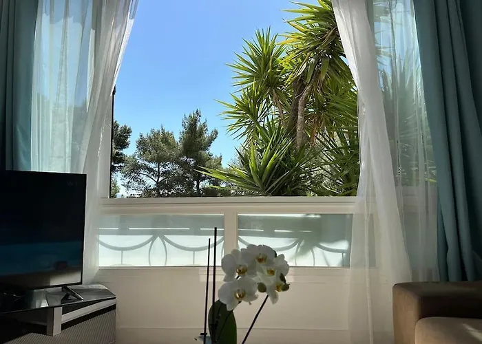 Neuf, 2 Chambres, Climatisé, Route Des Sanguinaires Appartement